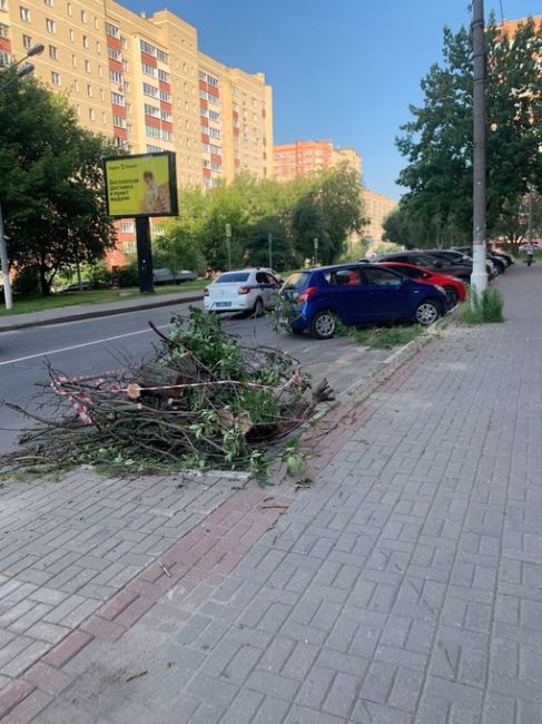 Ул. Колпакова, д. 26 спилили последнее дерево перед домом. Уже все совсем заказали в асфальт и плитку...