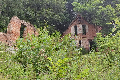 🌳 Сенницы: почему все больше туристов едет в древнее село?  Это одно из самых культовых мест под Озерами,..