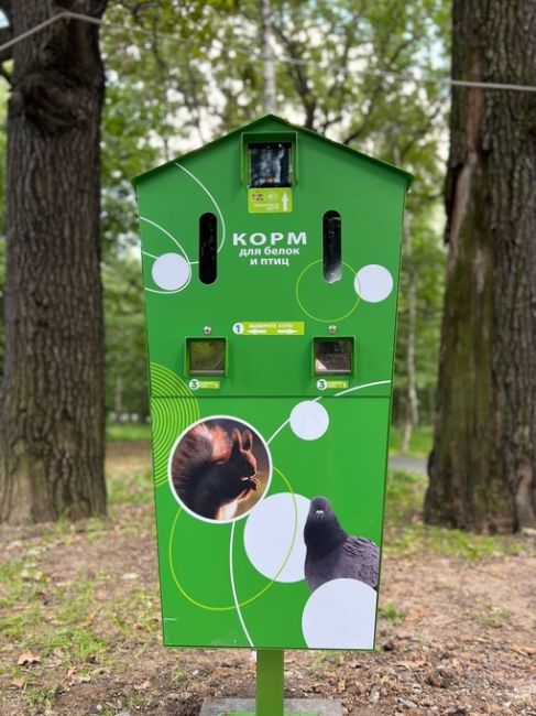 В парках Толстого и Подрезково появились автоматы с кормом для белок и птиц..