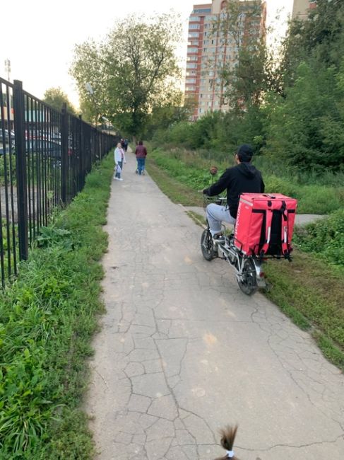 Как насчет ведодорожки вдоль парка и Пацаева, заросли это наверное нормально в лесу, но ходить по узенькой..