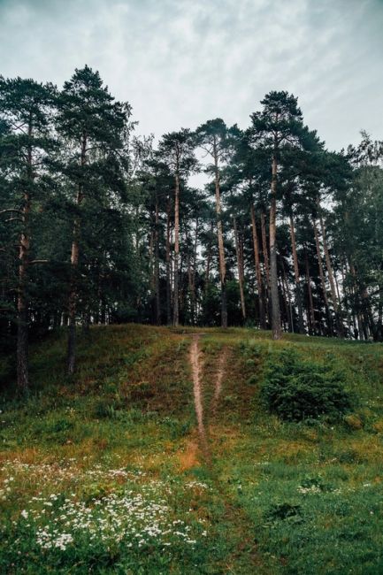 Город Видное..