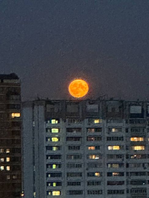 #фото@moscow_atypical  🌕 Первые кадры крупнейшего в этом году суперлуния над..