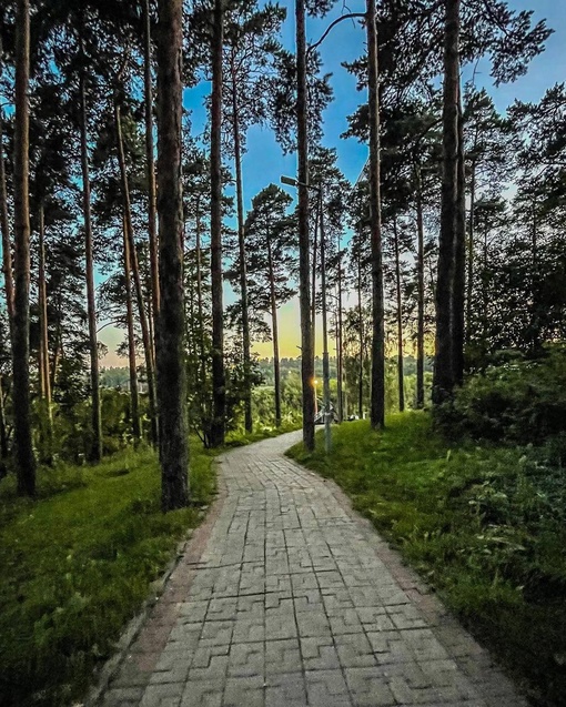 Вечерний Тимоховский парк💙
Давно там гуляли?  Автор..