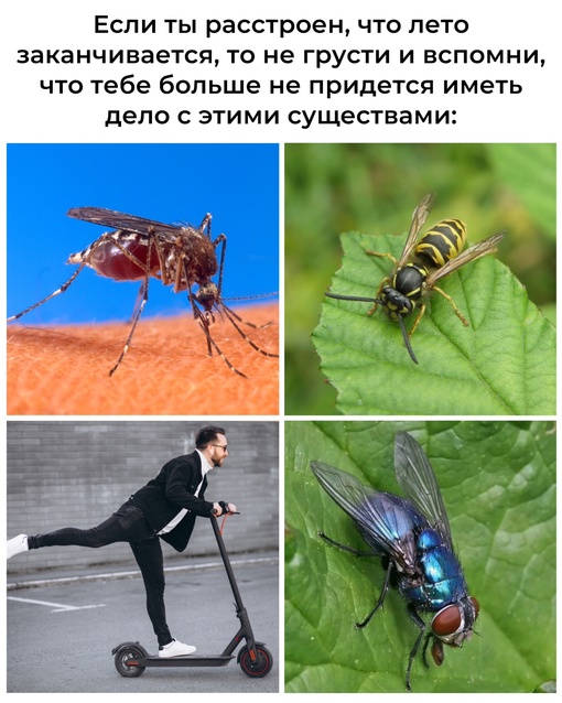 Во всем надо уметь видеть..