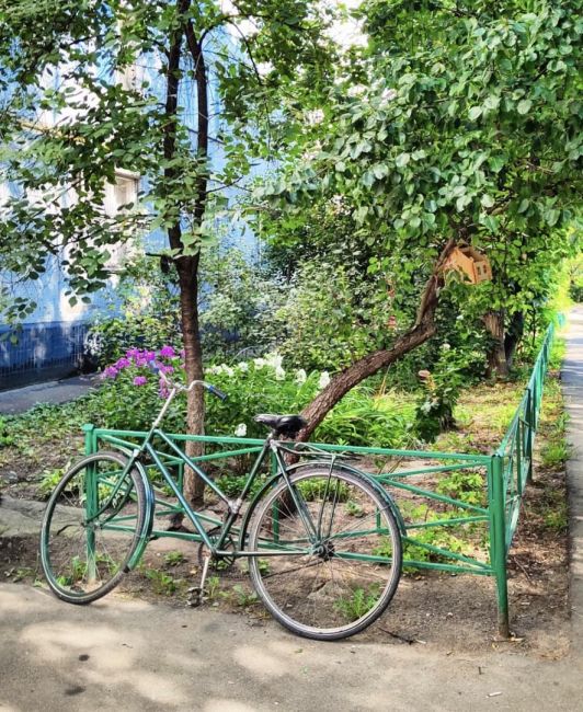 🚴‍♀️ доброе утро и хорошего всем..