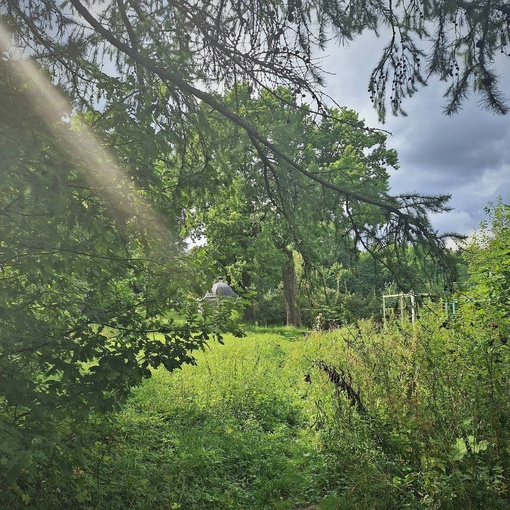 Усадьба Николо-Прозорово в Мытищинском районе Подмосковья 🌿 
Некогда шикарный усадебный комплекс в стиле..