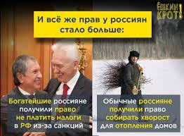 ☝️Лесная охрана напомнила дачникам правила сбора валежника в Богородском городском округе  Сотрудники..