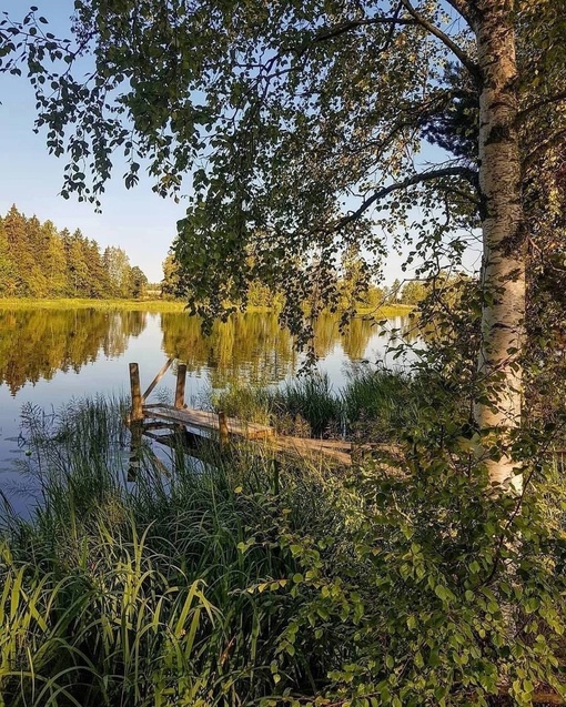 Летнее умиротворение… осталось так мало..