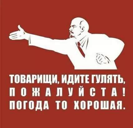 Успейте загадать желание до 24 августа  Жители Видного смогут наблюдать за ночным небом и увидеть метеорный..