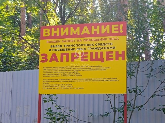 В Горках-2 гражданам запретили посещать лес 🤷‍♀  Об этом сообщил в редакцию "Типичное Одинцово" местный..