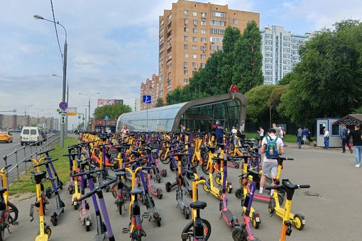 ПЕШКОМ ДО МОСКВЫ 🚶🏻‍♀
Электричек нет, на вход в автобус гладиаторские бои, такси даже по 2 тыс машин нет...