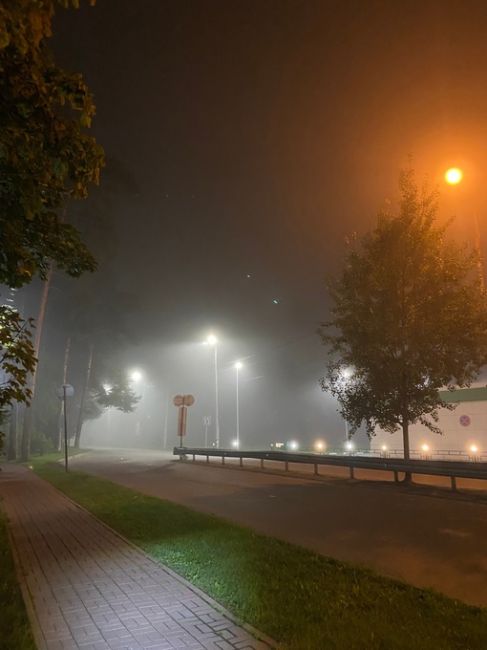 Экстренное предупреждение о погоде от МЧС 🌫️  С 22:00 до утра в московском регионе туман с ухудшением..