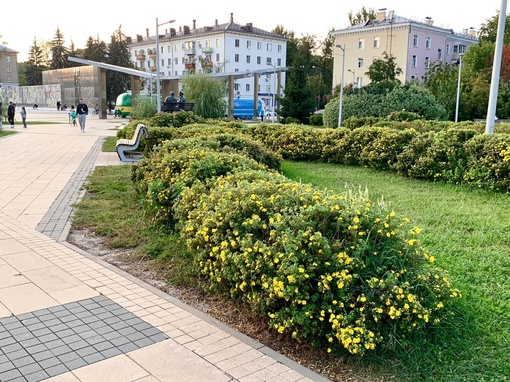 Мягкое начало осени🍃🍂
всем счастья и..