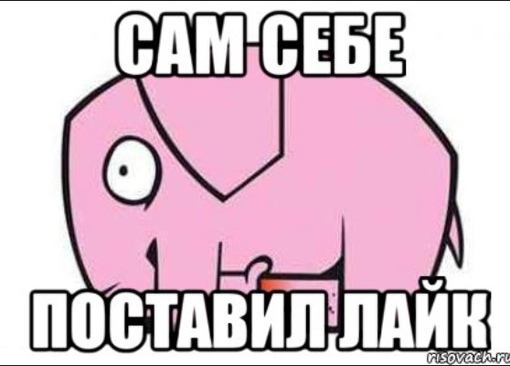 РАСТЕРЗАЛИ собачку В ДЕРГАЕВО ЗАБРАВШИСЬ НА ЧУЖОЙ УЧАСТОК  "2 сентября в 6 утра, произошла страшная ТРАГЕДИЯ...