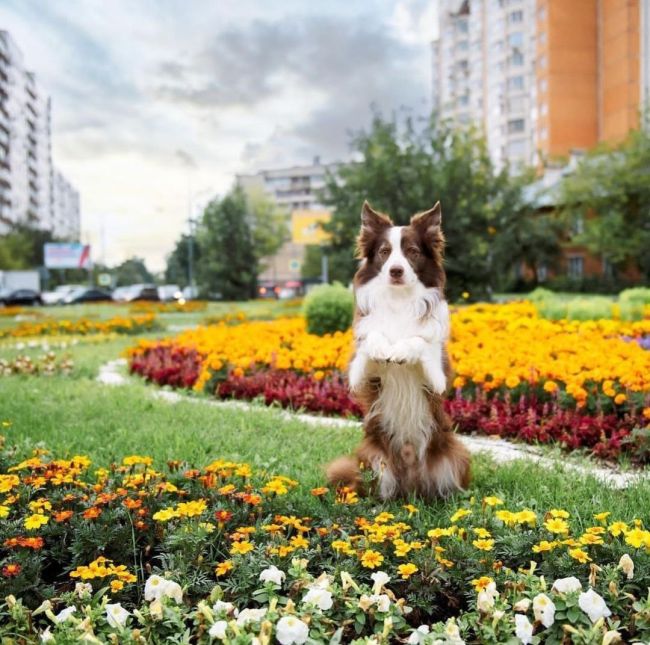 ☀️Всем отличного..