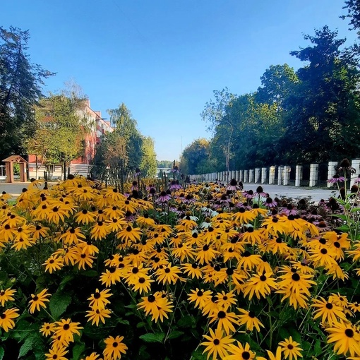 РОДНАЯ БАЛАШИХА ❤
📸..