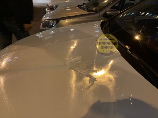 На Горшина 10 сейчас какой-то пацан пакеты с водой кидал из окна, в итоге попал по капоту припаркованного авто..