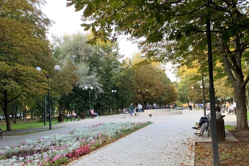 Мягкое начало осени🍃🍂
всем счастья и..