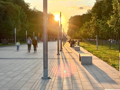 Мягкое начало осени🍃🍂
всем счастья и..