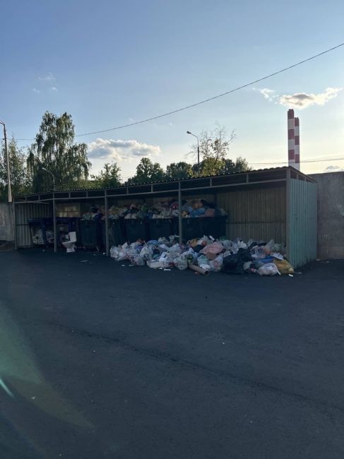 Свалки не вывезенного мусора по всему Красногорску растут. С каждым годом качество работы Рузского..