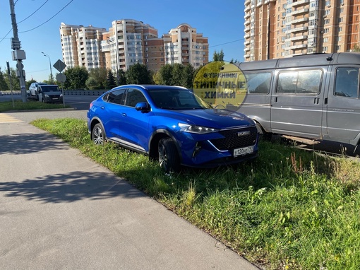 Какой замечательный газон! Так и манит..