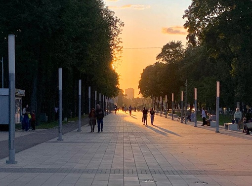 Мягкое начало осени🍃🍂
всем счастья и..