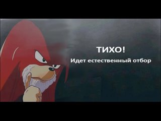 В Подмосковье подросток 15 лет насмерть разбился на электросамокате. Возбуждено уголовное..