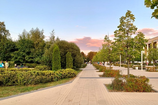 Мягкое начало осени🍃🍂
всем счастья и..