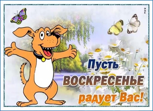 Всех с международным Шуфутиновым днём! 🎉  Праздник..