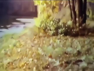 Прогулка по Усадьбе в селе #Быково
Любительское видео
1974..
