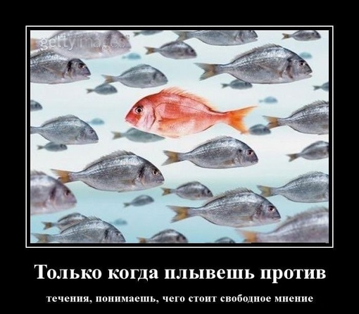 Бюджетников из Подмосковья обязывают прийти на выборы губернатора и проголосовать «за компьютером»...