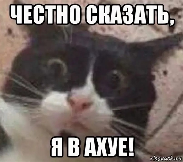 ❗Непогода ❗  До 9 часов утра 29 октября по Московской области ожидаются осадки (дождь, переходящий в мокрый..