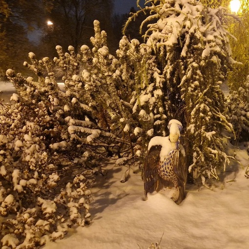 Зима в парке на молодежной 😍  📸..