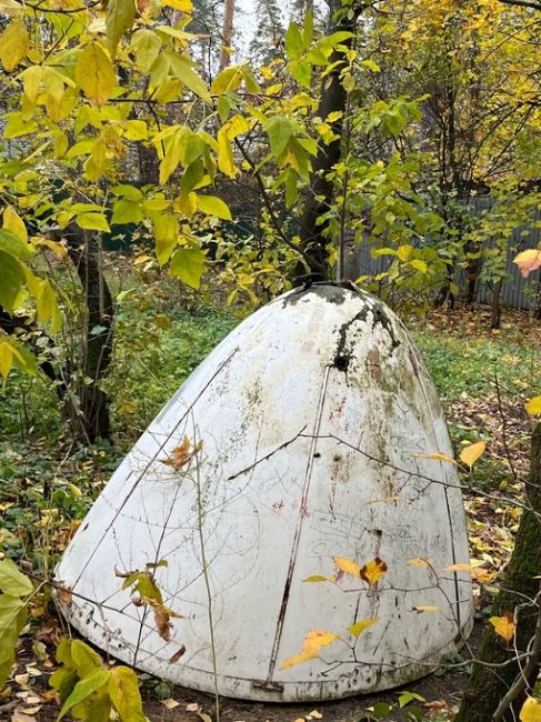 Доброе утро! 🍂🍁☕  Может, кто-то знает историю, связанную с этим носом самолета и как он попал во двор в..