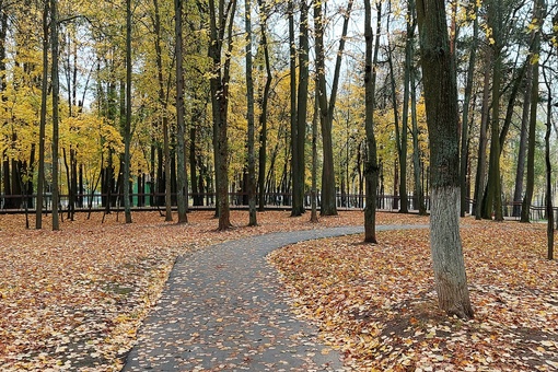 Осень. Парк. Холодный лёгкий дождь. 
Радостное солнечное лето быстро прошло... 
Сплин. Серые, постные лица на..