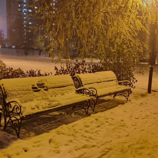 Зима в парке на молодежной 😍  📸..