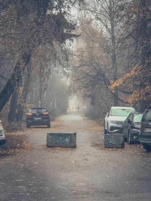 КРАСИВОЕ ТУМАННОЕ УТРО 🥰
📸 Антон..