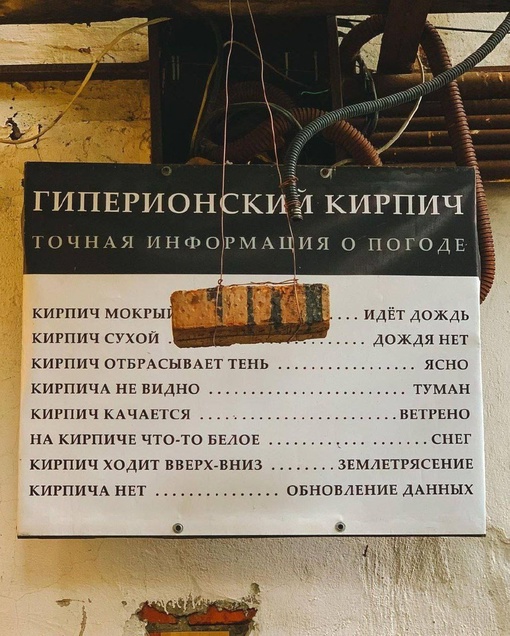 Единственный синоптик, которому я верю..