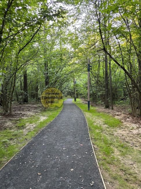 Были в Химкинском лесу? Там завершился первый этап благоустройства 🌳  Проложили более 4 км дорожек,..