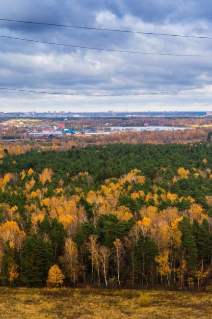 Золотая осень в Балашихе!
📸 [id1764174|Алексей..