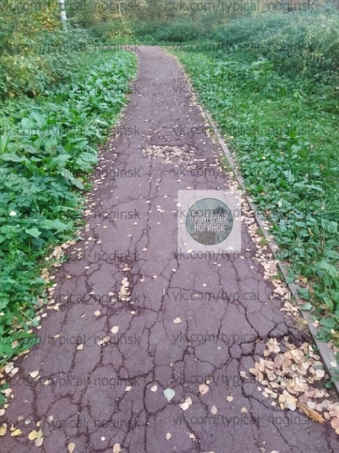 анон
Интересно, руководство дирекции Богородских парков собирается как то обустраивать инфраструктуру..