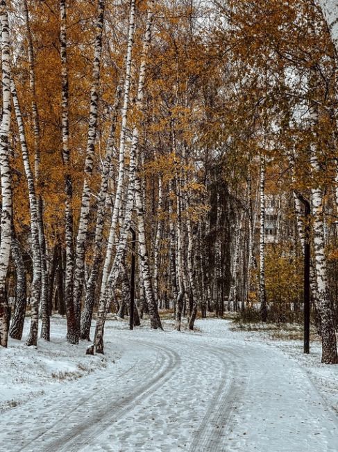 Балашиха, мкр.Заря
📸 [id356035587|Юля..