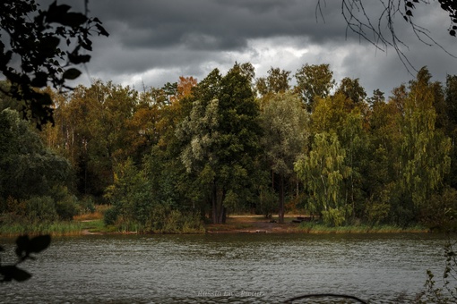 Кучинский лесопарк 
📸Вячеслав..