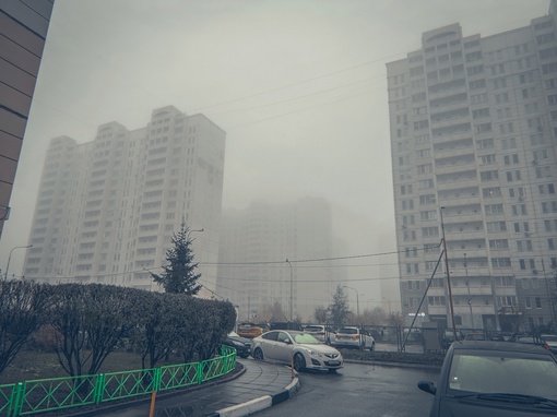 Красивое туманное утро 🥰🌫
📸 [id16670825|Антон..