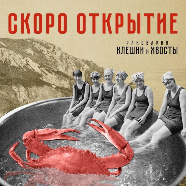 Гастрономические открытия этой осени: открытие раковарни «Клешни и Хвосты»  📍Одинцово, Можайское шоссе,..