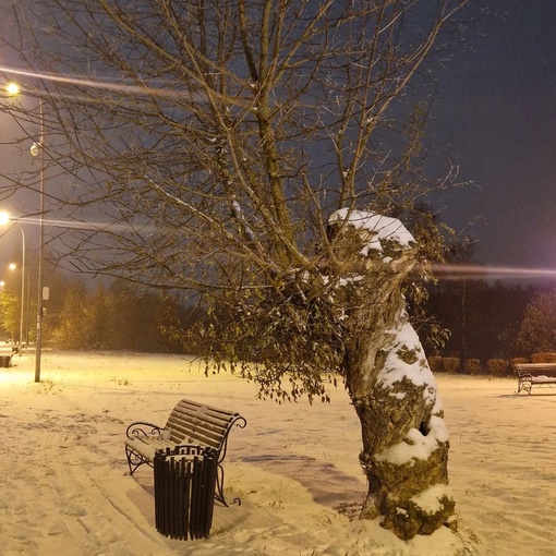 Зима в парке на молодежной 😍  📸..