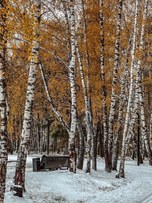 Балашиха, мкр.Заря
📸 [id356035587|Юля..