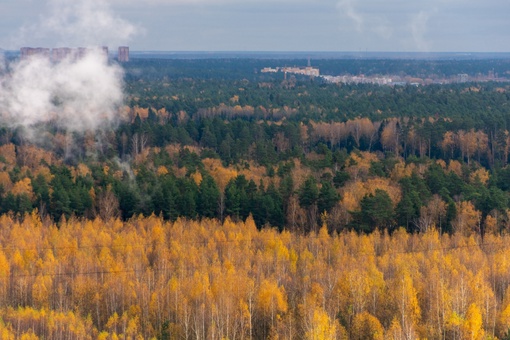 Золотая осень в Балашихе!
📸 [id1764174|Алексей..