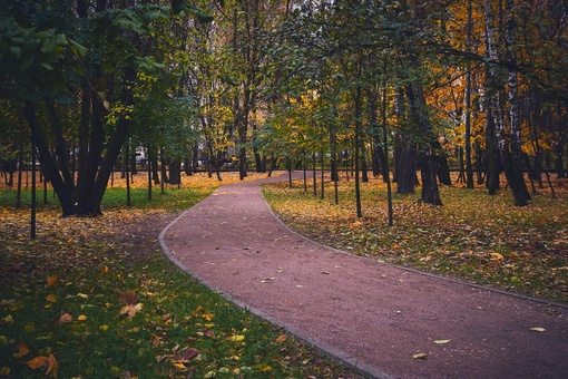 Уходящие краски осени 
📸Виктор..