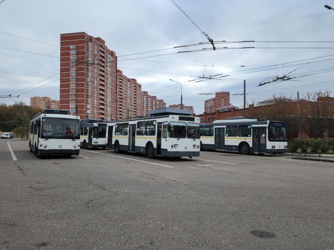 Любовь и тролейбусы по-видновски 
Сергей и Ольга Дзюба работают в Видновском троллейбусном парке. Супруги -..